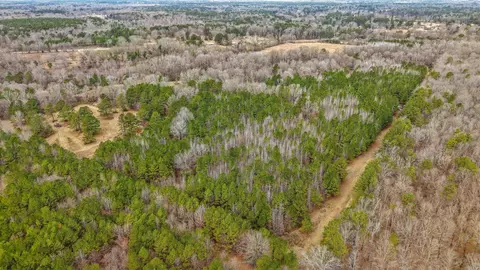 lot48 Highway 79 S, Pine Bluff, AR 71603 photo 6