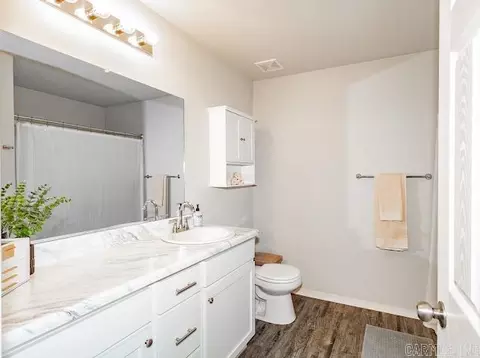 Bath - 2232 Centennial Valley Dr, Benton, AR 72019 photo 2 of 3