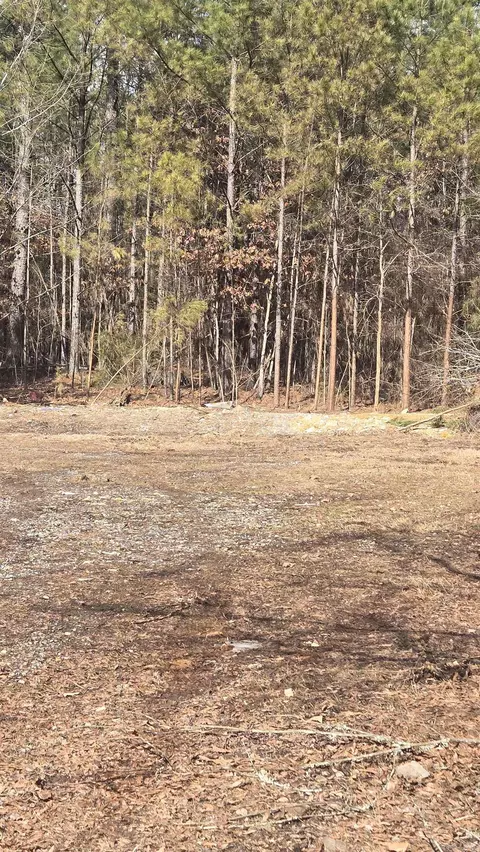 391 Joe Ford Trl, Fountain Lake, AR 71909