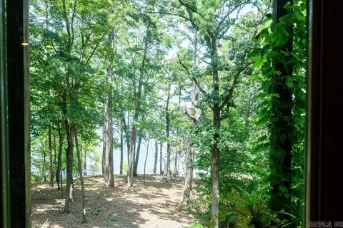 View/Area - 144 Lake Point Dr, Quitman, AR 72131 photo 3 of 4