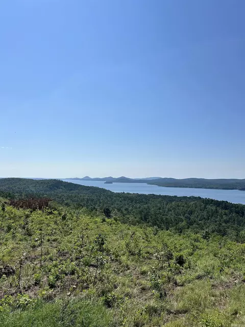Lakeview West Way, Roland, AR 72135