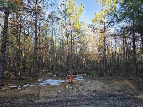 800 Southwood Ln, Rison, AR 71665 photo 2