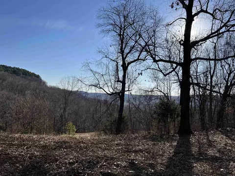 Terrapin Road, Harrison, AR 72601 photo 2