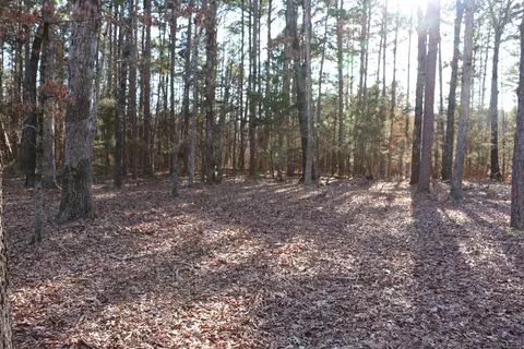 lot92 Dave Creek Pkwy, Fairfield Bay, AR 72088