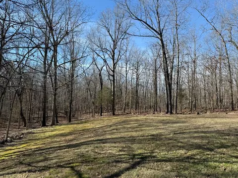 Exterior - 637 Hwy 63, Williford, AR 72482 photo 11 of 14