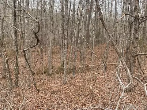 lot75 Mustang Dr, Clinton, AR 72031