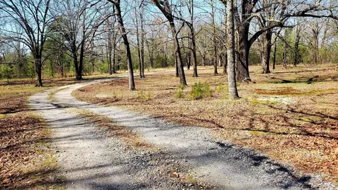 Other - 139 Garden Dr, Mount Ida, AR 71957 photo 13 of 15