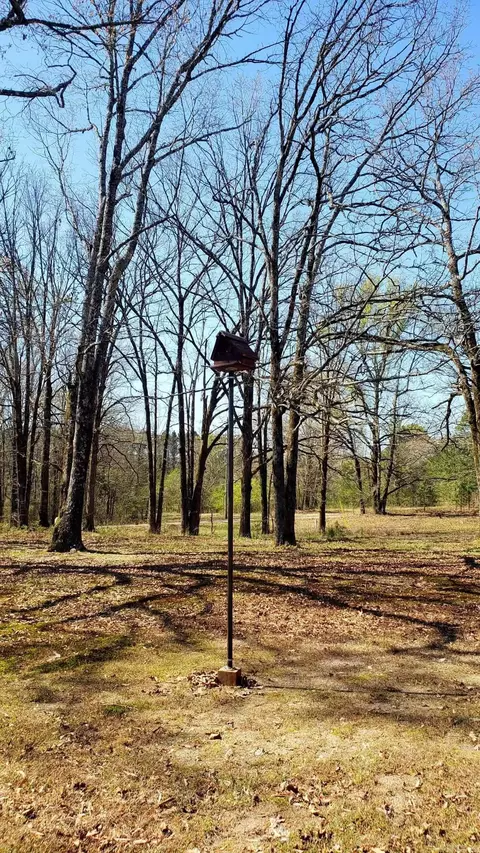 Other - 139 Garden Dr, Mount Ida, AR 71957 photo 14 of 15