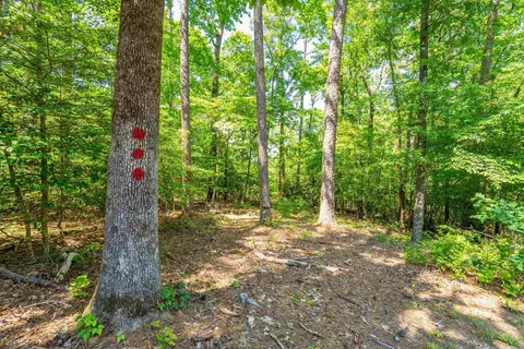 Other - 90 Silverpoint Unit 4 Dr, Mount Ida, AR 71957 photo 10 of 14