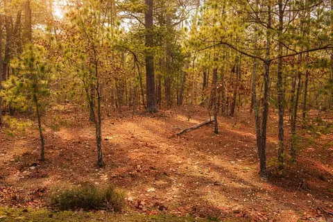 6 Calahorra Cir, Hot Springs Village, AR 71909