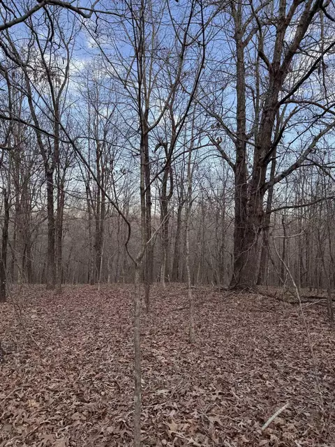 County Road 470, Rector, AR 72461
