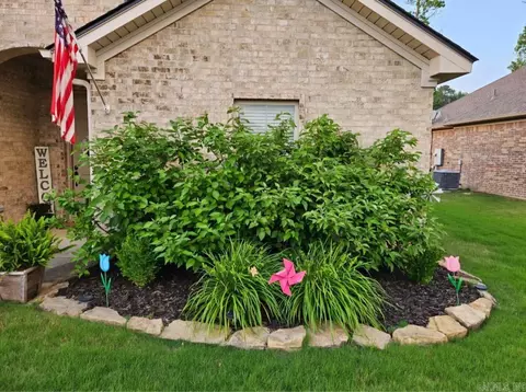 2900 Perth Cv, Benton, AR 72015 photo 32