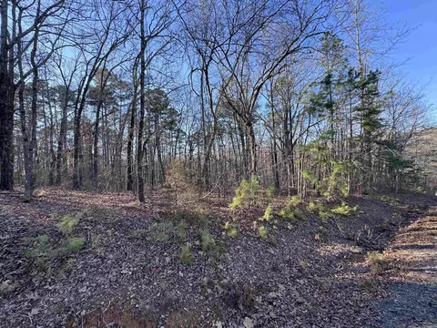 000 N Miller Point Rd, Quitman, AR 72131 photo 5