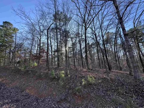 000 N Miller Point Rd, Quitman, AR 72131 photo 7