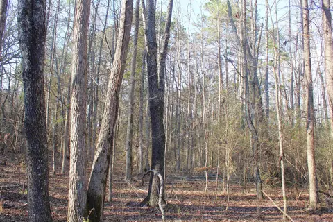 0 E Bivens Rd, Quitman, AR 72131 photo 7