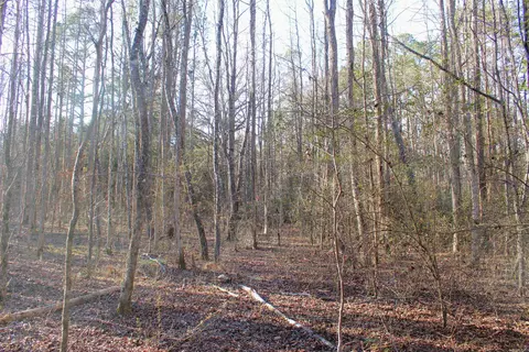 0 E Bivens Rd, Quitman, AR 72131 photo 16