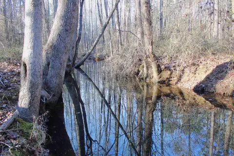 0 E Bivens Rd, Quitman, AR 72131 photo 8