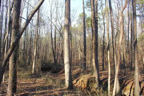 0 E Bivens Rd, Quitman, AR 72131 photo 6