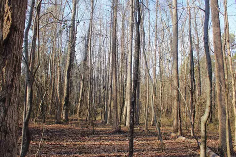 0 E Bivens Rd, Quitman, AR 72131 photo 3
