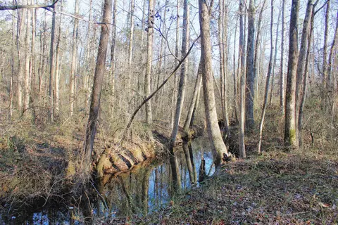 0 E Bivens Rd, Quitman, AR 72131 photo 14