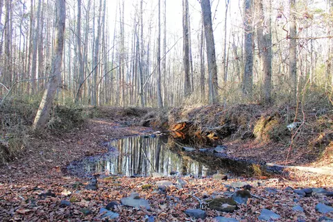 0 E Bivens Rd, Quitman, AR 72131 photo 10