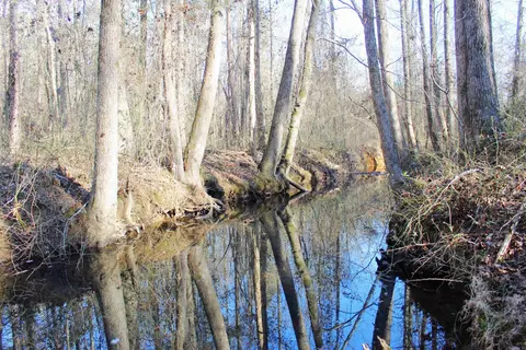 0 E Bivens Rd, Quitman, AR 72131