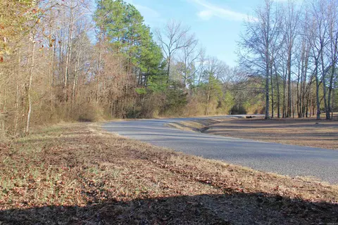 0 E Bivens Rd, Quitman, AR 72131 photo 4