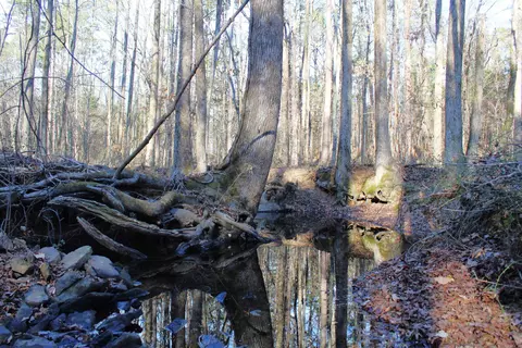 0 E Bivens Rd, Quitman, AR 72131 photo 2