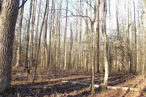 0 E Bivens Rd, Quitman, AR 72131 photo 15