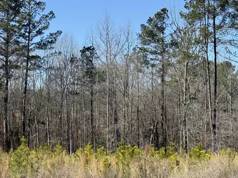 tbd Hempstead 18, Blevins, AR 71825 photo 2