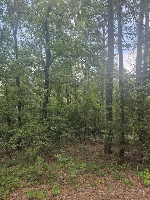 308 W Fifth Ave, Perry, AR 72125 photo 31