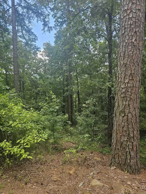 308 W Fifth Ave, Perry, AR 72125 photo 30
