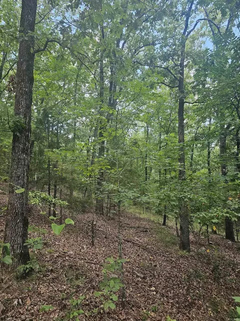 308 W Fifth Ave, Perry, AR 72125 photo 29