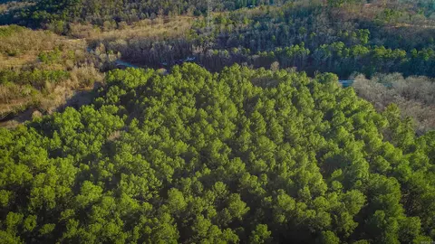 0 Twelfth St, Paron, AR 72122 photo 2