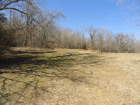 Exterior - 4473 Rumley Rd, Dennard, AR 72629 photo 10 of 12