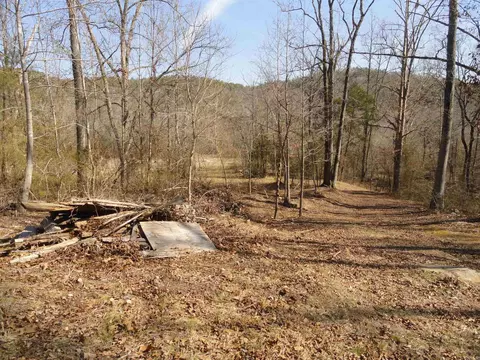 Exterior - 4473 Rumley Rd, Dennard, AR 72629 photo 12 of 12