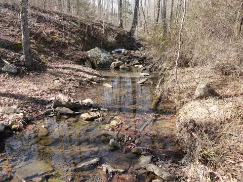 Other - 4473 Rumley Rd, Dennard, AR 72629 photo 7 of 7