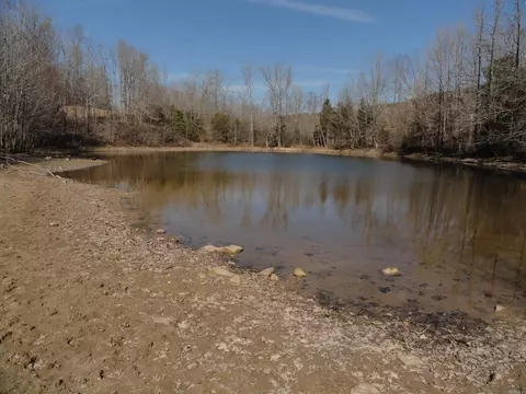 View/Area - 4473 Rumley Rd, Dennard, AR 72629 photo 1 of 1