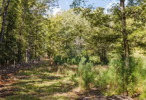 15901 Vimy Woods, Mabelvale, AR 72103 photo 37
