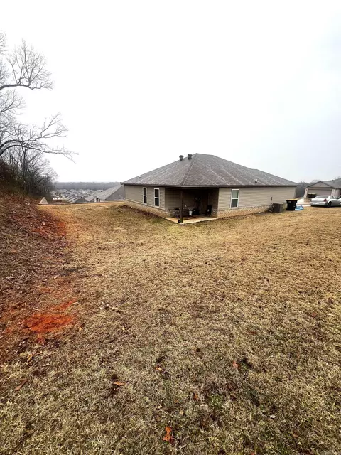 Exterior - 11 Erwin Dr, Austin, AR 72007 photo 4 of 5