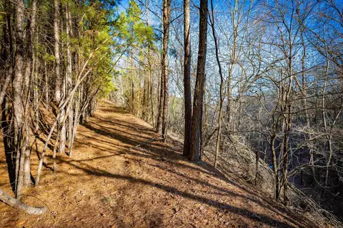 0 Grey Hawk Dr, Paron, AR 72122