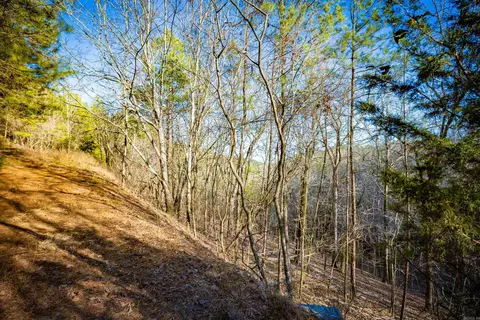 0 Grey Hawk Dr, Paron, AR 72122 photo 2