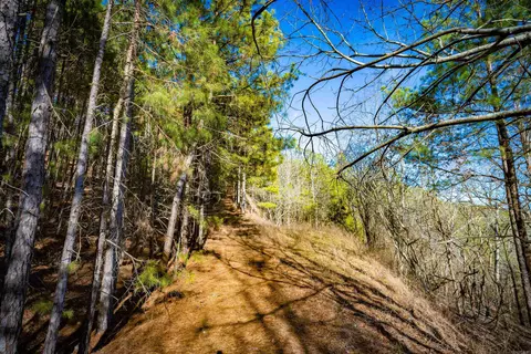 0 Grey Hawk Dr, Paron, AR 72122 photo 3