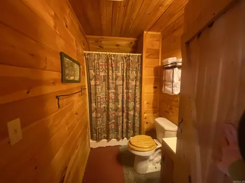 Bath - 465 S Riverview Ln, Mountain View, AR 72560 photo 5 of 5