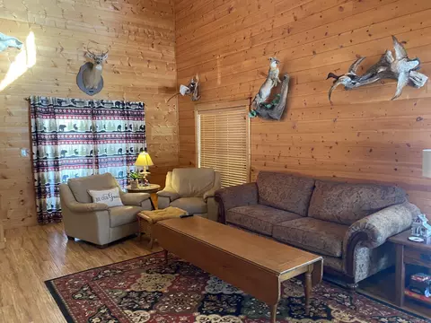 Living - 465 S Riverview Ln, Mountain View, AR 72560 photo 3 of 7