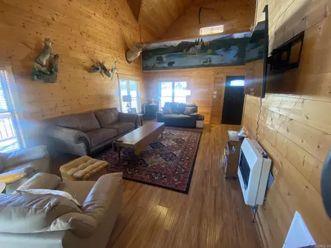 Living - 465 S Riverview Ln, Mountain View, AR 72560 photo 7 of 7