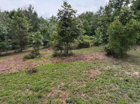 tbd Ebenezer Rd, Amity, AR 71921 photo 8