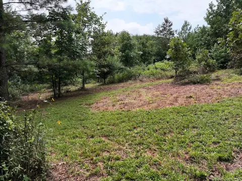 tbd Ebenezer Rd, Amity, AR 71921 photo 9