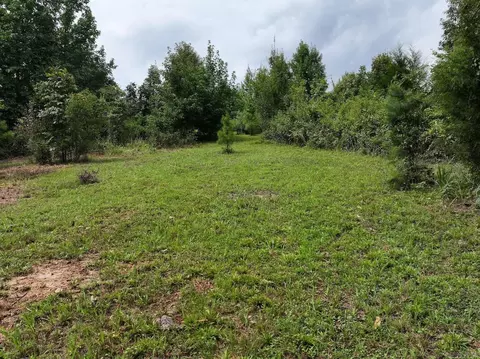 tbd Ebenezer Rd, Amity, AR 71921 photo 7