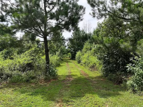 tbd Ebenezer Rd, Amity, AR 71921 photo 22